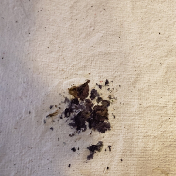 13 Pages of Handcrafted Papers with Sage Flowers - Picture 2 of 3